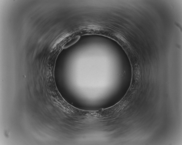 X0000100881112200806201239
