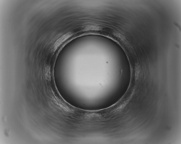 X0000100881113200806201239