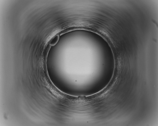 X0000100881114200806201239