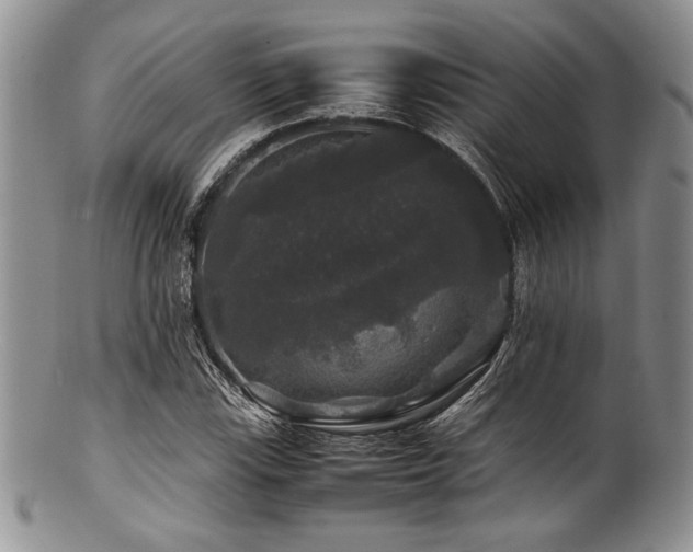 X0000100881115200806201239