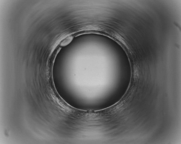 X0000100881116200806201239