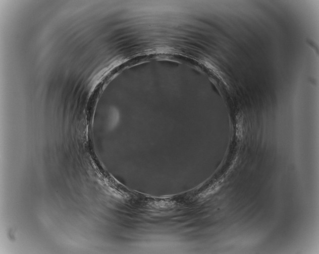 X0000100881117200806201239