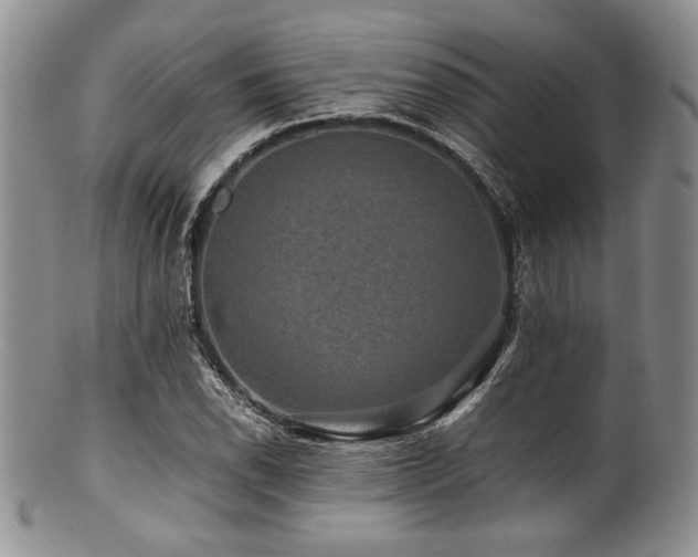 X0000100881118200806201239