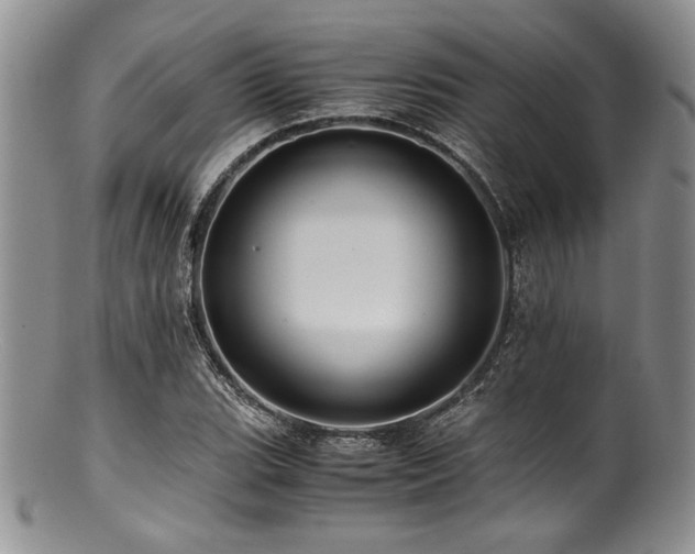 X0000100881119200806201239