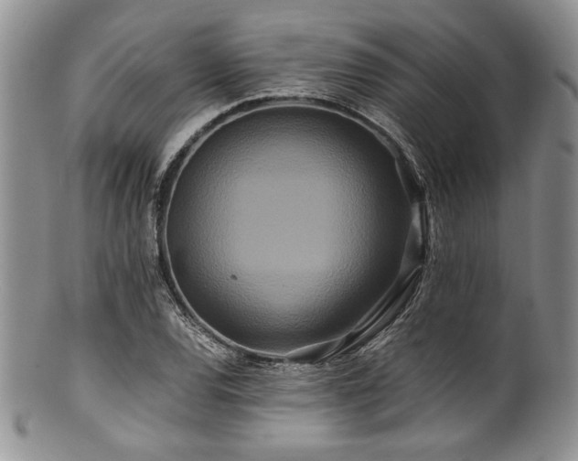 X0000100881120200806201239