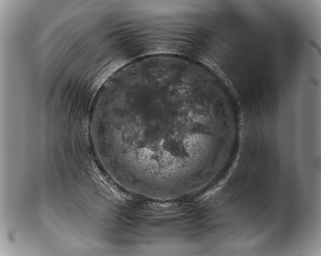 X0000100881121200806201239