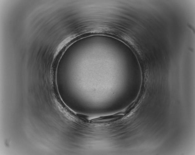 X0000100881122200806201239