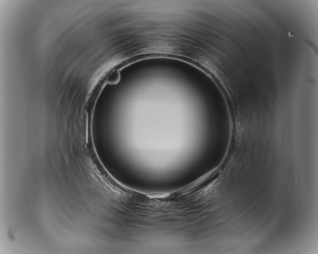 X0000100881123200806201240
