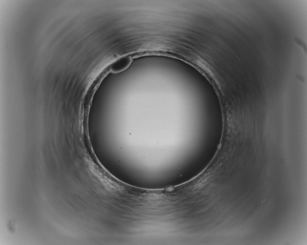 X0000100881124200806201240