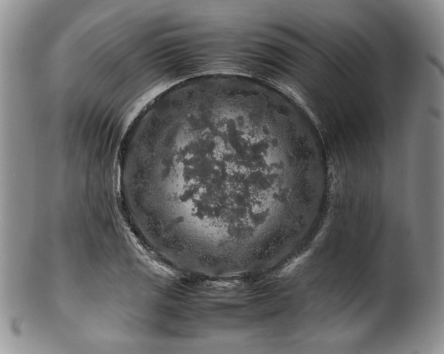 X0000100881125200806201240