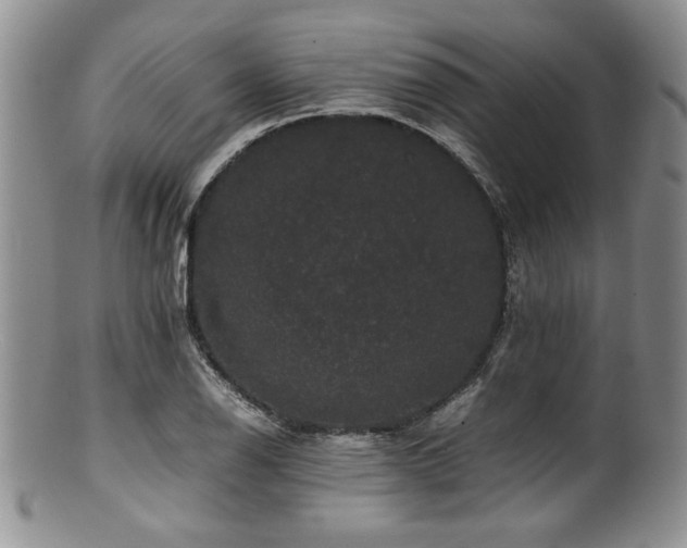 X0000100881126200806201240