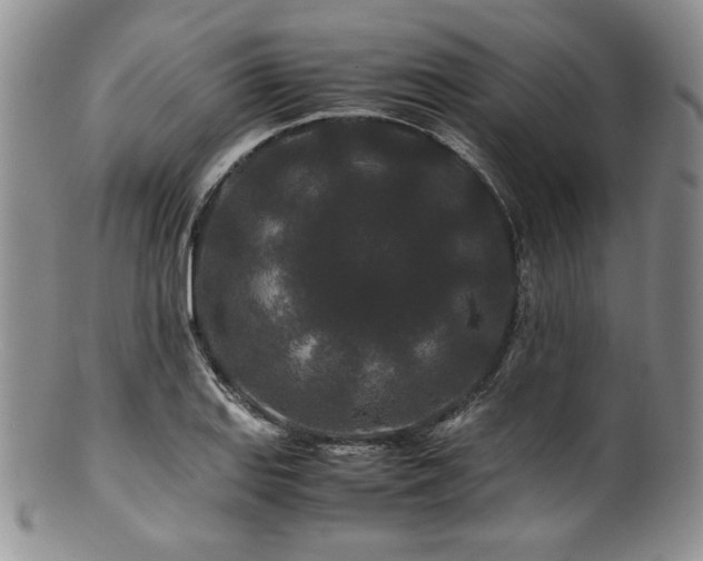 X0000100881127200806201240