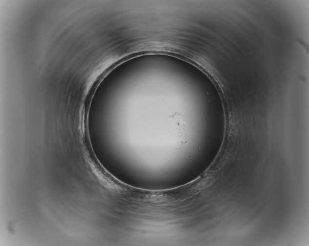 X0000100881128200806201240
