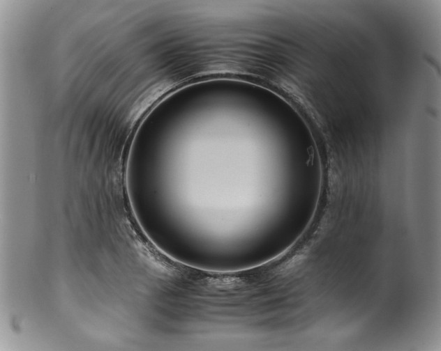 X0000100881129200806201240