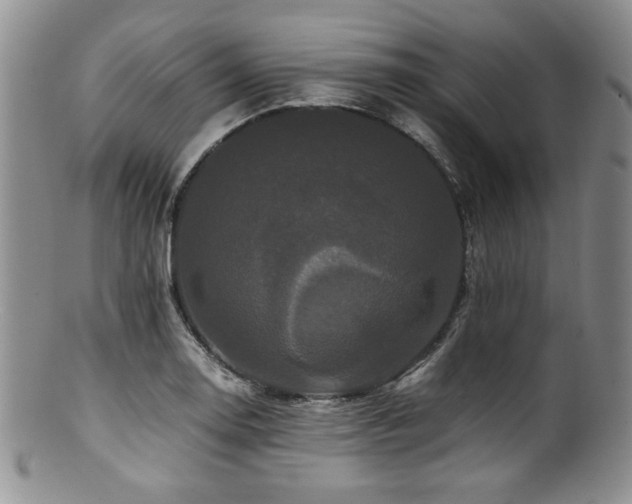 X0000100881130200806201240