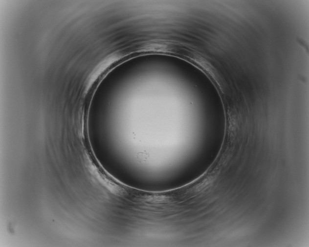 X0000100881131200806201240