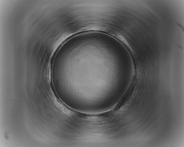 X0000100881132200806201240
