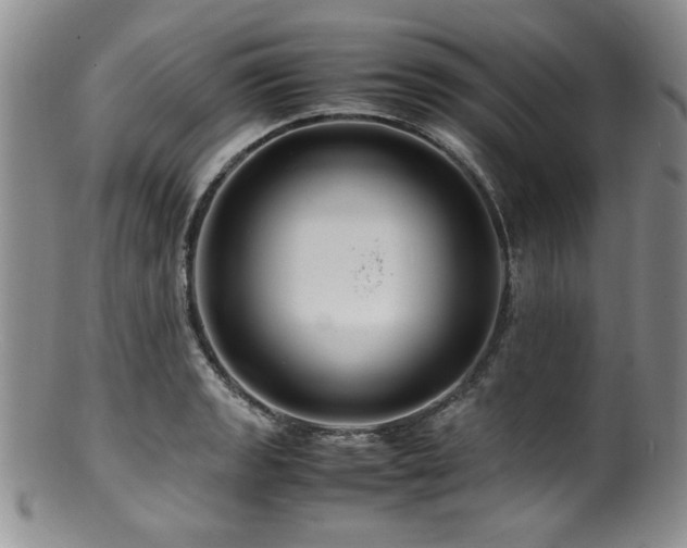 X0000100881133200806201240