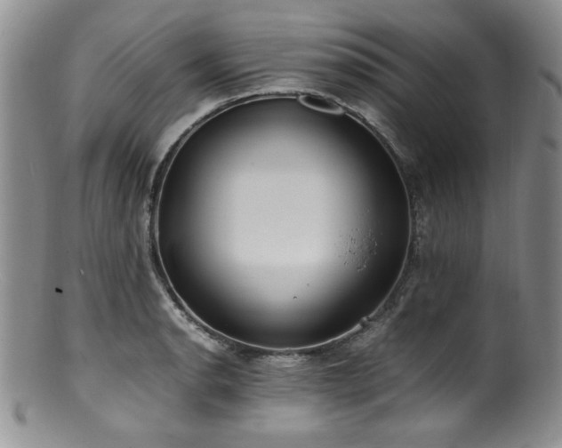 X0000100881134200806201240