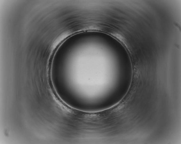 X0000100881135200806201240