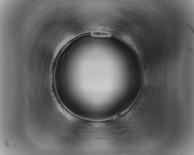 X0000100881136200806201240