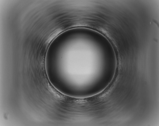 X0000100881137200806201240