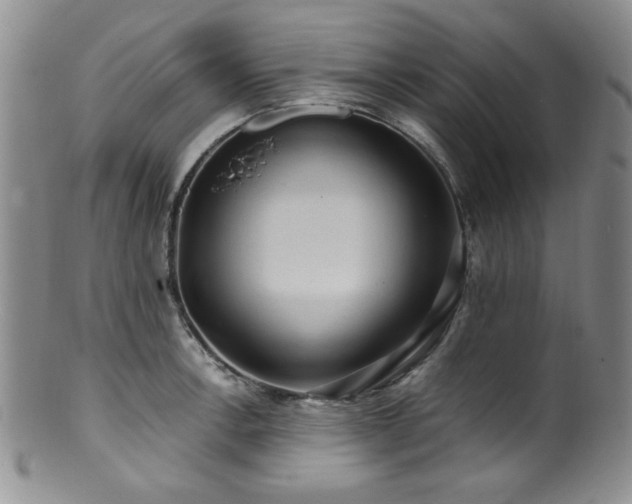 X0000100881138200806201240