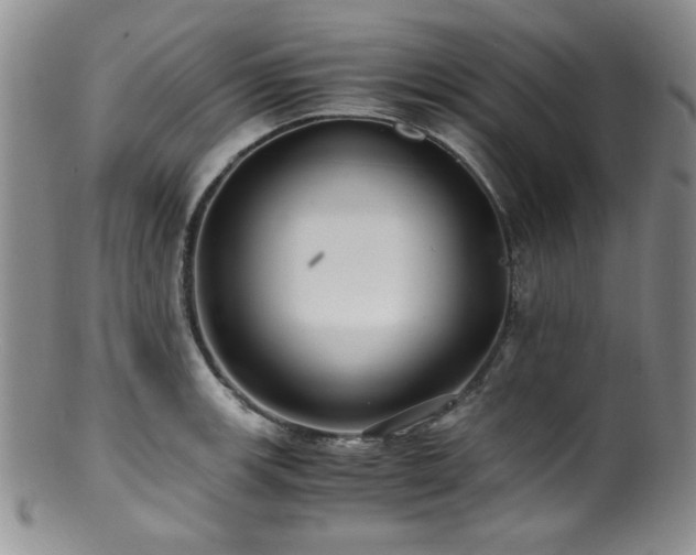 X0000100881139200806201240
