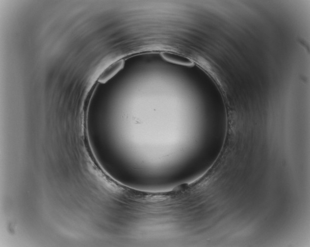 X0000100881140200806201240