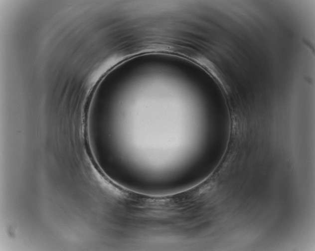 X0000100881143200806201240