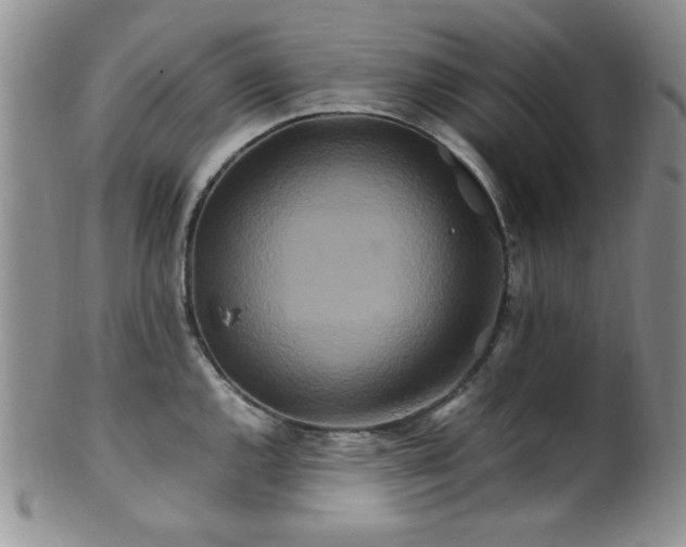 X0000100881144200806201240