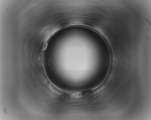 X0000100881145200806201240