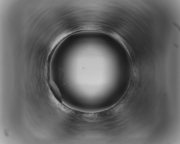 X0000100881147200806201240