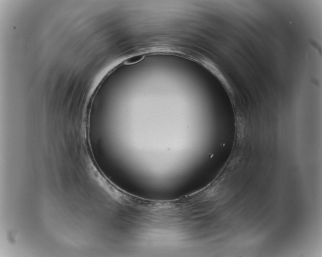X0000100881148200806201240