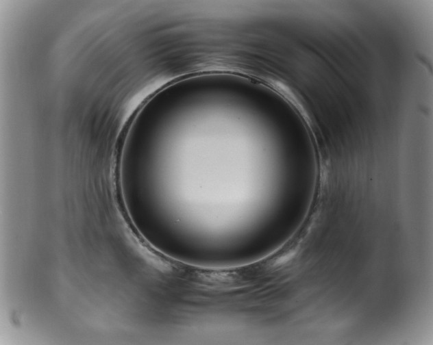 X0000100881149200806201240