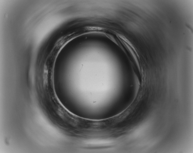 X0000100881151200806201240