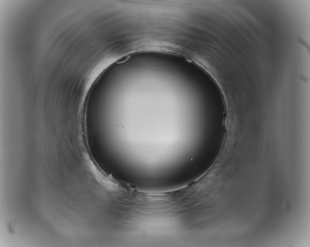 X0000100881152200806201240