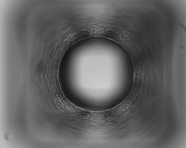 X0000100881153200806201239