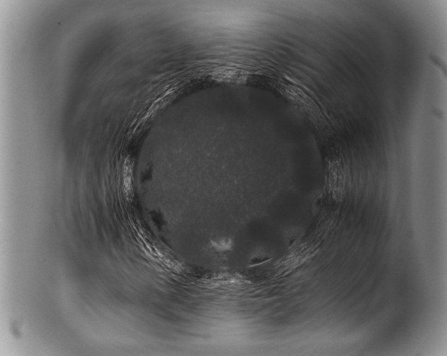 X0000100881154200806201239