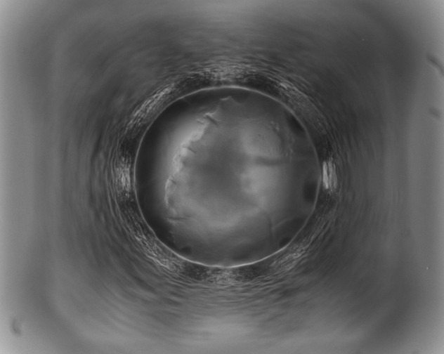 X0000100881155200806201239