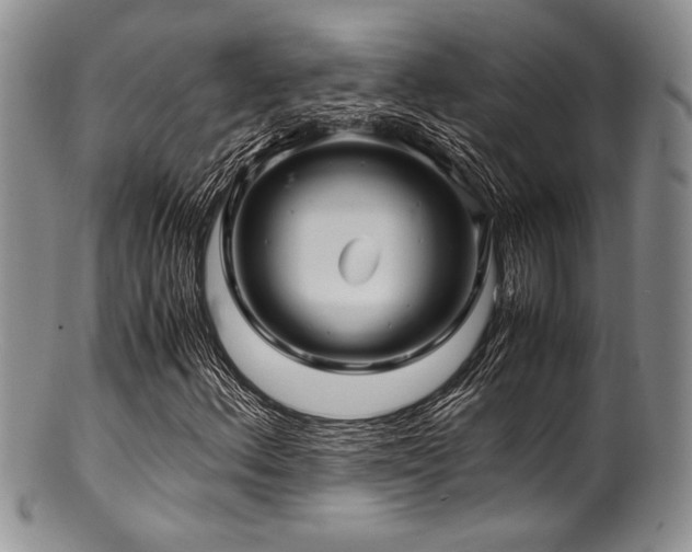 X0000100881156200806201239