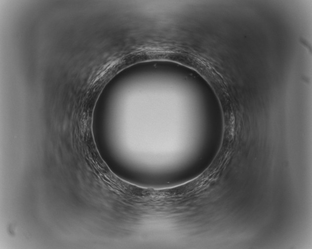 X0000100881157200806201239