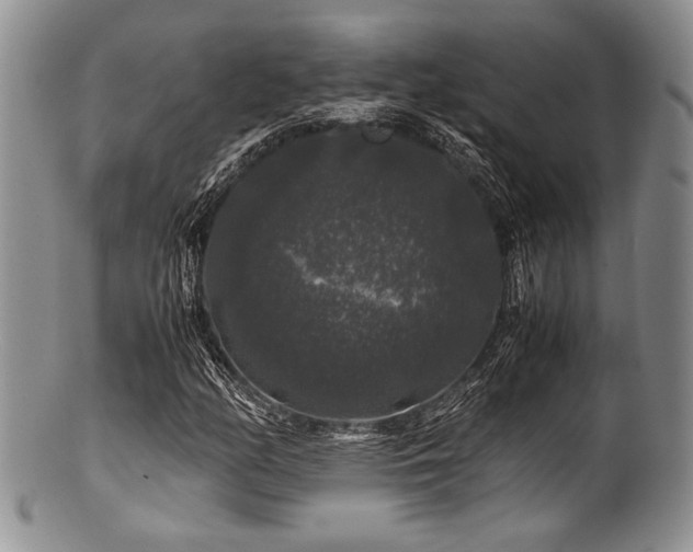 X0000100881158200806201239