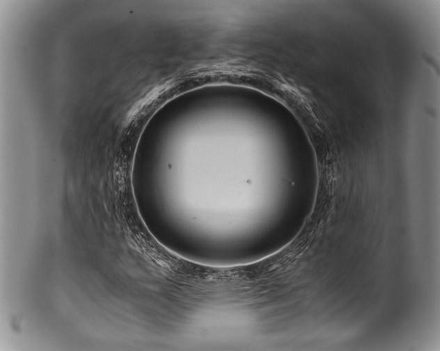 X0000100881159200806201239