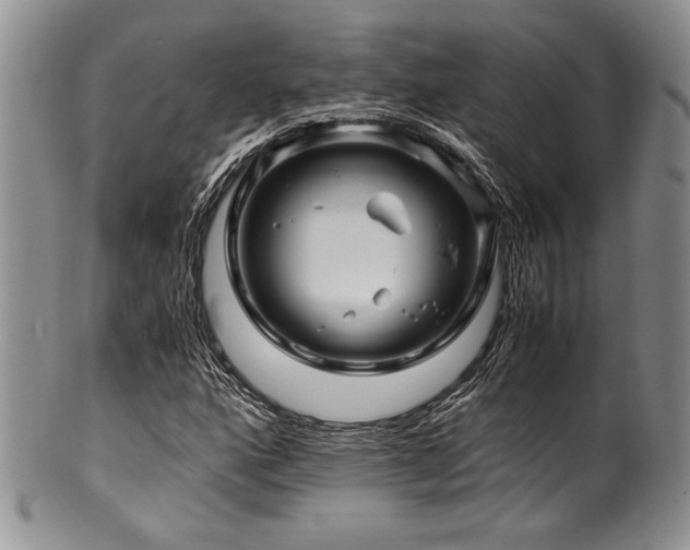 X0000100881160200806201239