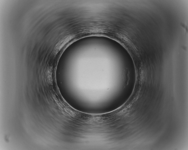 X0000100881162200806201239