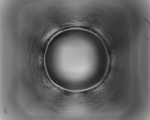 X0000100881163200806201239