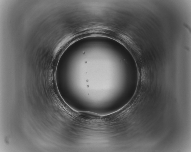 X0000100881164200806201239