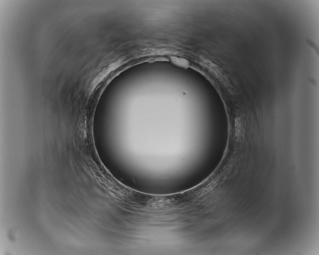 X0000100881165200806201239