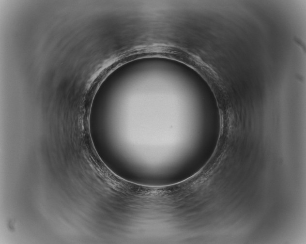 X0000100881166200806201239